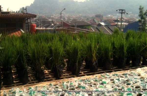 Sawah Portabel